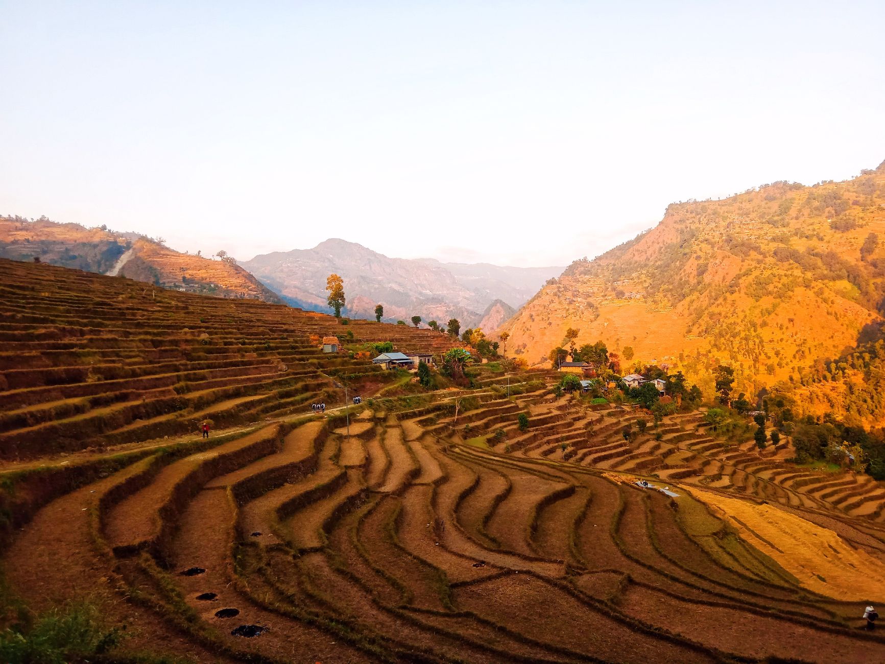 Terraced Andean slopes bathed in late afternoon golden light