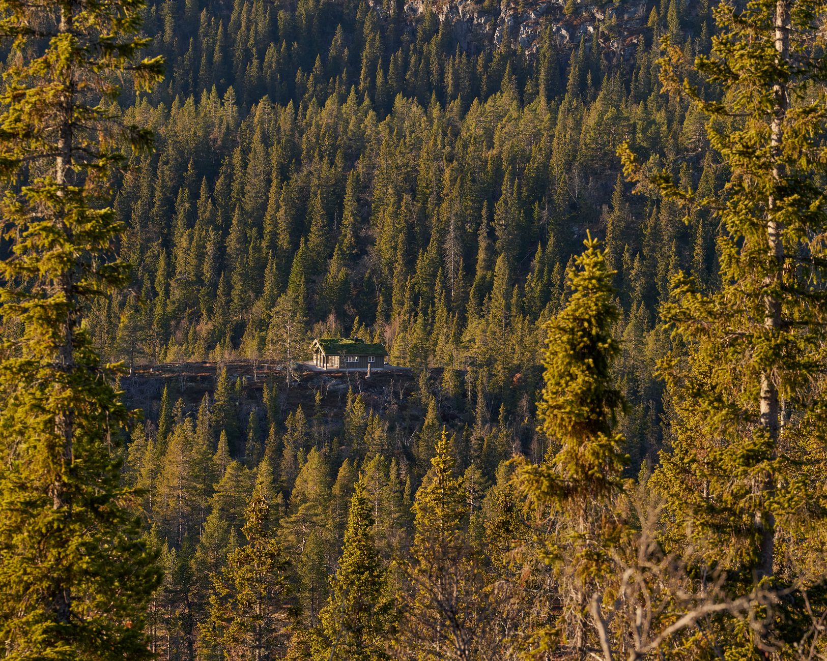 Alpine cabin detail